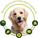 Fleacare vlooien en tekenband